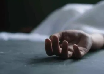 2025-ci ilin yanvar–noyabr dövründə ölüm hallarında artım müşahidə olunub