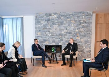 İlham Əliyev Davosda Finlandiya Prezidenti ilə görüşüb