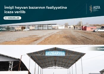 İmişli Rayonu “Muğan Aqro” Heyvan Bazarının Fəaliyyətinə İcazə Verildi