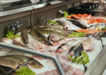 Çin 13 Rusiya balıqçılıq şirkətinə bazarına çıxış icazəsi verib