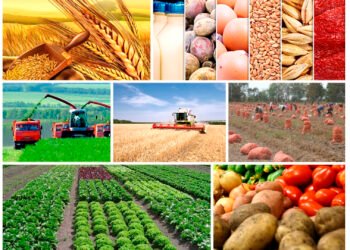 Naxçıvanda 402,2 milyon manatlıq kənd təsərrüfatı məhsulu istehsal olunub